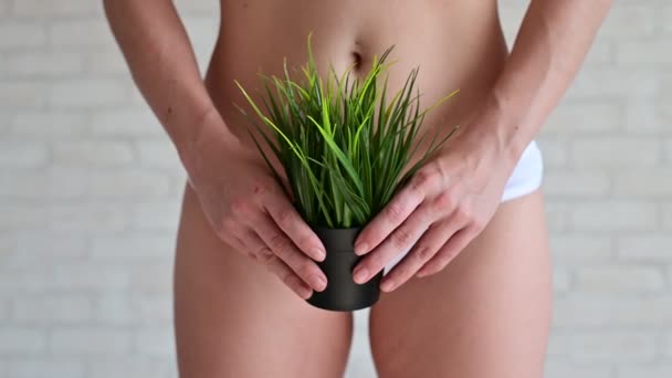 Una mujer en bragas blancas sostiene una maceta con una planta espesa sobre un fondo de ladrillos ligeros. Denegación de depilación de la zona del bikini. La chica se crece el pelo antes de quitarse el pelo. Vegetación hippie . — Vídeos de Stock