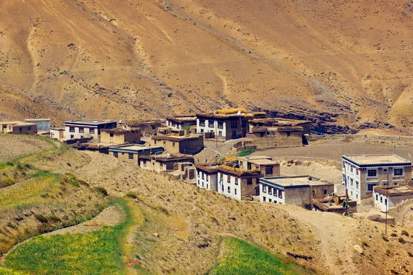 Village Montagne Kibber Dans Ouest Himalaya Vallée Spiti Himachal Pradesh — Photo