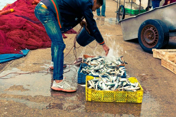 ジャディダ モロッコ 2019年12月31日 モロッコの漁師がエル ジャディダ港の桟橋で新鮮な魚を水で洗います — ストック写真