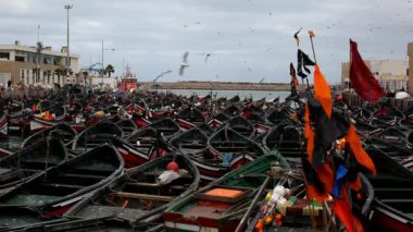 Seagulls fly over fishing boats moored in El Jadida port. Morocco 