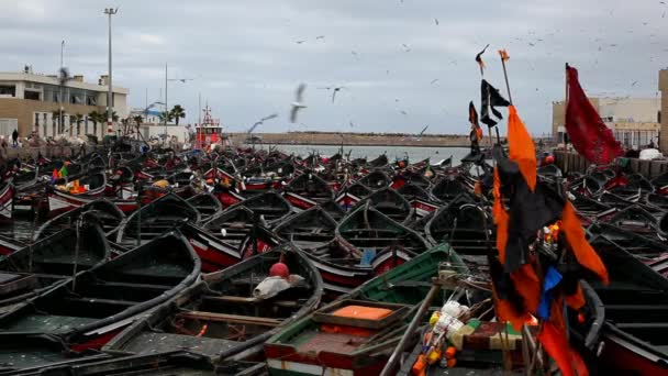 Nad Rybářskými Čluny Kotvícími Přístavu Jadida Létají Racci Maroko — Stock video