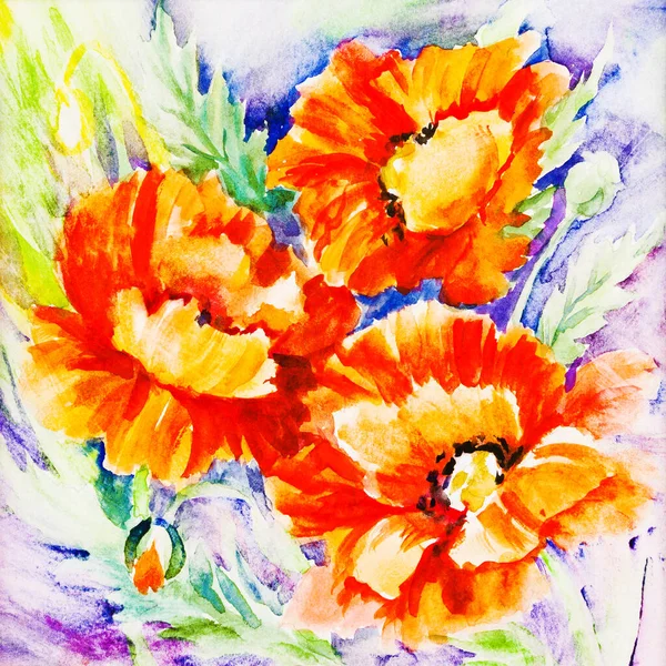 Watercolor Painting Red Poppies — 图库照片