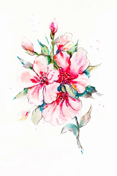 Beautiful spring flowers painted with watercolor