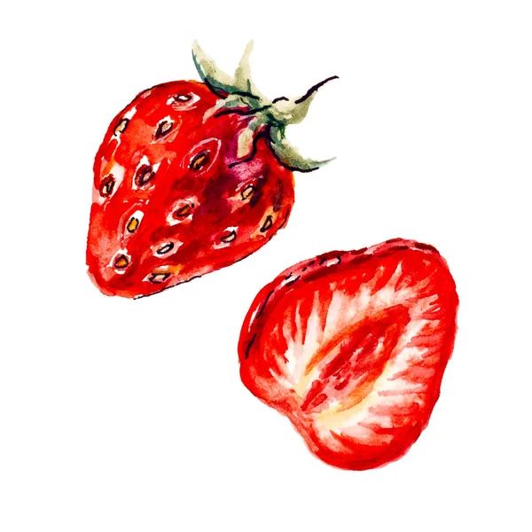 Akvarel Malba Čerstvé Jahody Izolované Bílém Pozadí — Stock fotografie