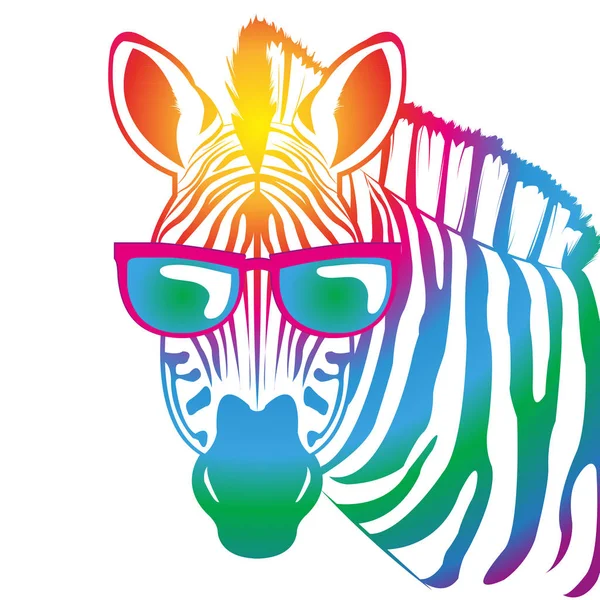 Cool Zebra colorido — Vetor de Stock