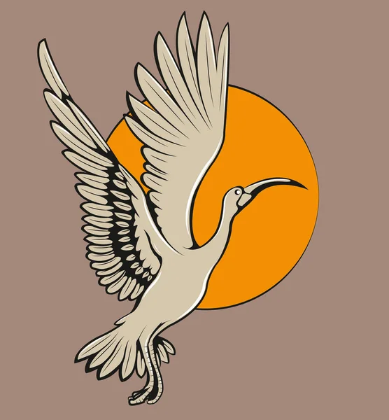 イビス鳥 — ストックベクタ