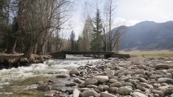 La rivière sauvage rapide avec pont en bois traverse la vallée montagneuse lumineuse . — Video