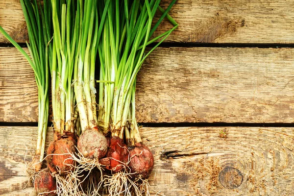 Bawang hijau dengan latar belakang kayu — Stok Foto