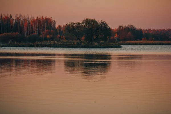 Meer en bos in de herfst bij zonsondergang — Stockfoto