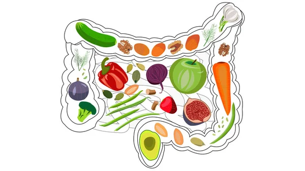 건강 한 장, 소화를 위한 건강 한 음식. 섬유, 브란, 과일, 야채, 녹색. 흰 배경에서 분리 됨 — 스톡 사진