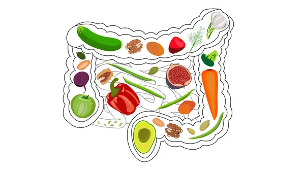Еда для здоровья кишечника. Кефир, бифидобактерии, зелень, аппликации, клетчатка, сухофрукты, орехи, перец, цельный хлеб, злаки, брокколи, изолят на белом фоне — стоковое фото
