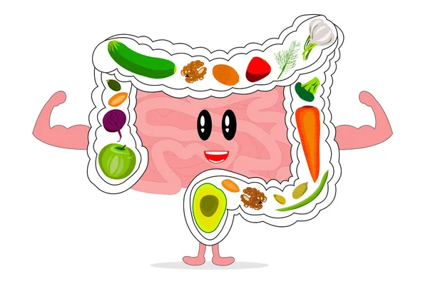 Хорошее пищеварение. Сильные кишки. Полезные продукты для кишечника, клетчатки, овощей, фруктов. Кишечник улыбается — стоковое фото