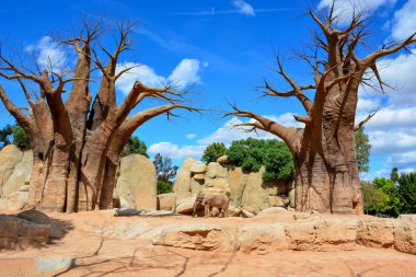 İki baobabs ve sarı taşlar arka plan üzerinde fil.
