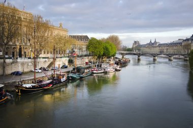 Paris'te Seine Nehri'nin görünümü Fransa