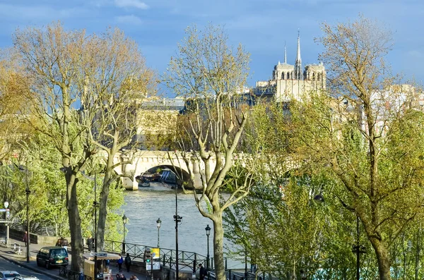 Paris'te Seine Nehri'nin görünümü Fransa — Stok fotoğraf