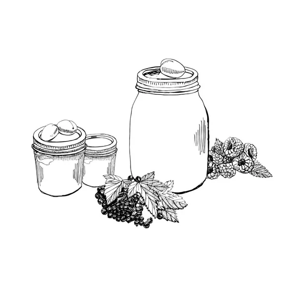 Desenho gráfico desenhado à mão com jarra de geléia e bagas e frutas . —  Vetores de Stock