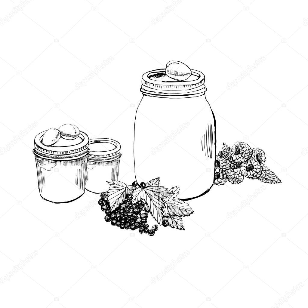 Hand drawn graphic sketch with jam jar and berries and fruits.
