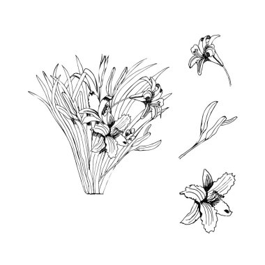 Buket yaz çiçek ve yaprakları ile. Elle çizilmiş grafik kroki