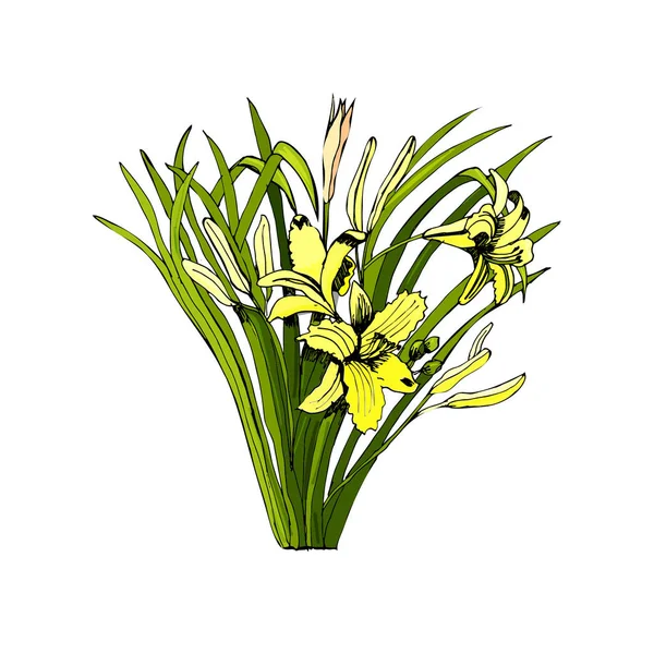 Ανθοδέσμη με κίτρινο καλοκαίρι λουλούδια και φύλλα. — Διανυσματικό Αρχείο