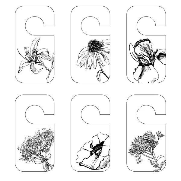 Set Etiquetas Con Bosquejo Gráfico Flores Verano Iris Sedum Papaver — Vector de stock