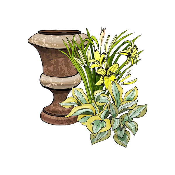 Vaso da giardino arrugginito retrò con fiori di hosta e hemerocallis. Schizzo disegnato e colorato a mano — Vettoriale Stock