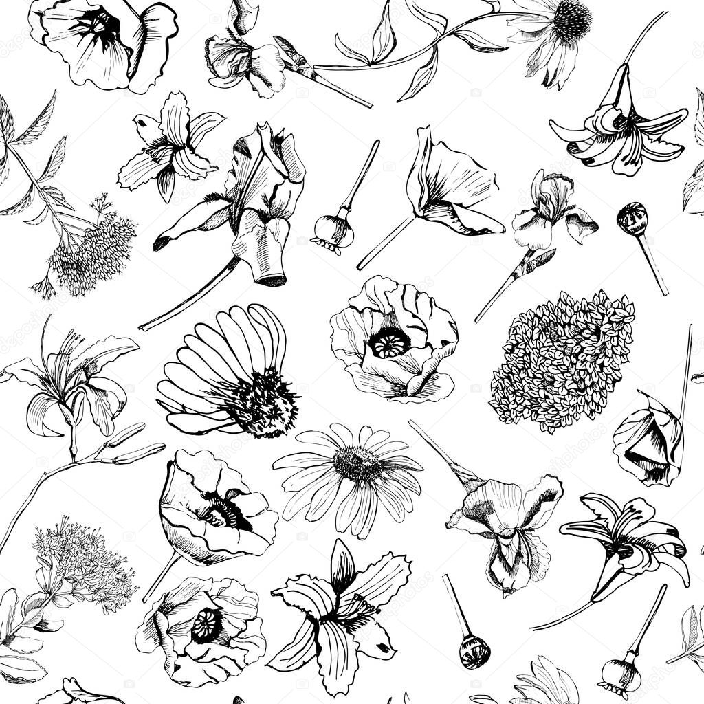 Seamless pattern  with hand drawn graphic  sketch with summer flowers for flower garden.