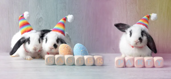 Three little cute rabbit wearing colorful party hat, sitting behind wooden block written Easter Party on wooden pastel gradient background.