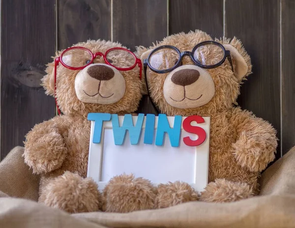 Gêmeos Bonitos Ursos Pardos Usa Óculos Vermelhos Outro Usa Óculos — Fotografia de Stock