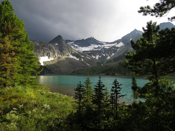 Lac Montagne Avec Sapin — Photo
