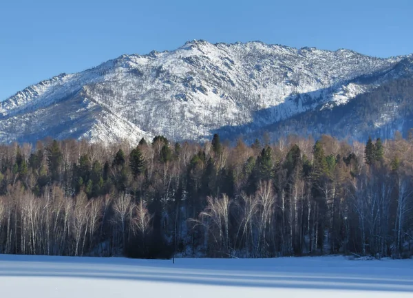 Snow Mountain Forest Royalty Free Stock Photos