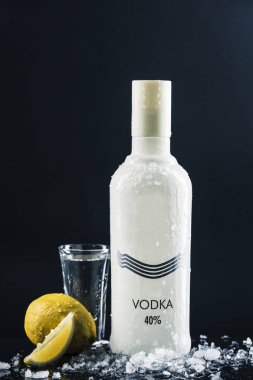 Puslu beyaz votka şişesi, buzlu ve limonlu.