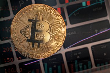 Altın bitcoin sikke sanal ekonomi ya da kripto para birimi unsurları sembolize ediyor.