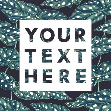  Polkadot Begonia posteri