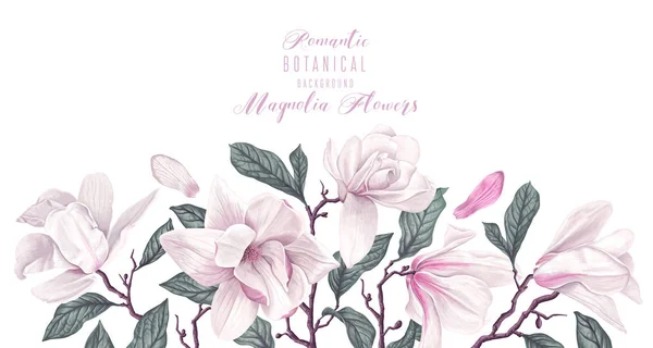 Frontera horizontal vectorial con flores de magnolia blanca y hojas aisladas sobre fondo blanco . — Vector de stock