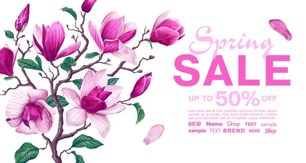 Våren Försäljning Banner Mall Med Gren Magnolia Bakgrund Med Rosa — Stock vektor