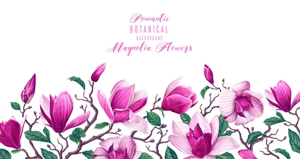 Frontera Horizontal Vectorial Con Flores Magnolia Rosa Hojas Aisladas Sobre — Vector de stock