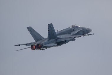 F/A 18 Hornet Avusturya'da Hava Gücü üzerinde