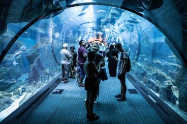 Ünlü Dubai akvaryum
