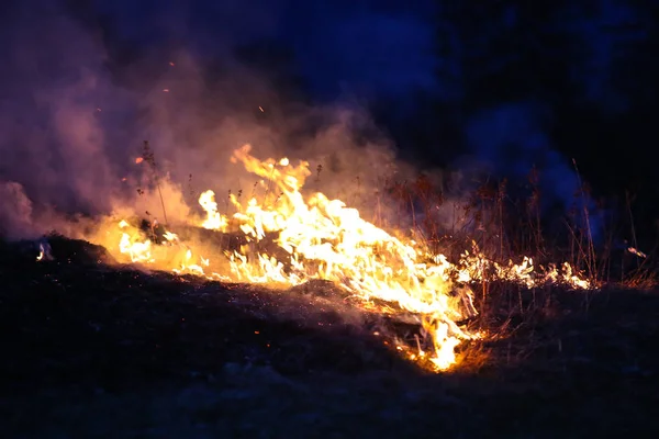 Nächtliches Grasfeuer — Stockfoto