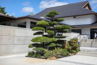 Japon ağacı Morikami bahçe içinde