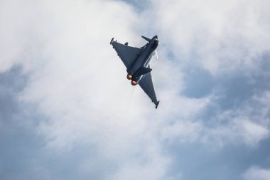Avusturyalı Eurofighter Typhoon