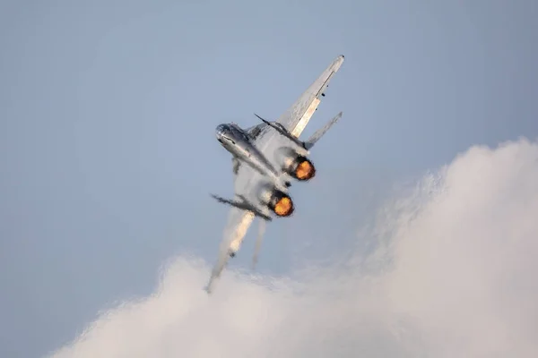 Mig 29 Demo-Team — Stockfoto