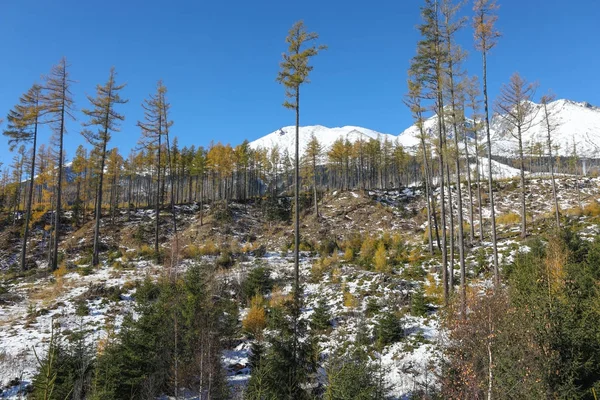 Tatra alti entro la fine dell'autunno — Foto Stock