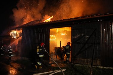 Waksmund, Polonya - 25.11.2017 Waksmund, Polonya bir köyde 25.11.2017 4 kulübeler büyük yangın