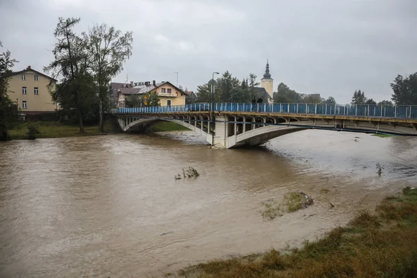 Nowy Targ Poland 2017 Big Water Nowy Targ City River — Stock Photo, Image