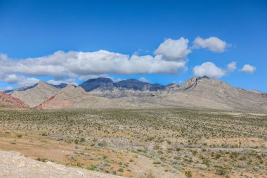 Red Rock Canyon - Nevada doğal koruma alanı. Las Vegas yakınındaki Milli Parkı.