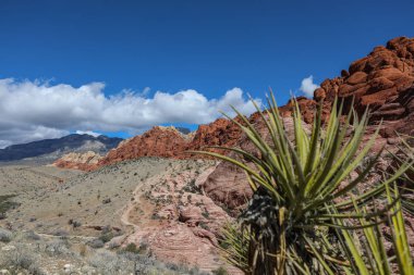 Red Rock Canyon - Nevada doğal koruma alanı. Las Vegas yakınındaki Milli Parkı.