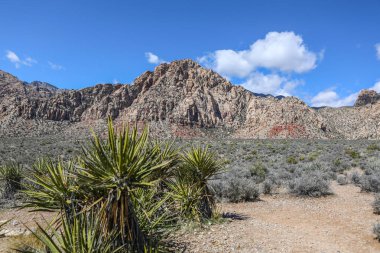 Red Rock Canyon - Nevada doğal koruma alanı. Las Vegas yakınındaki Milli Parkı.