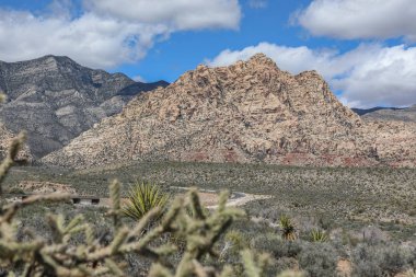 Red Rock Canyon - Nevada doğal koruma alanı. Las Vegas yakınındaki Milli Parkı.
