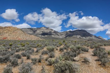 Red Rock Canyon - Nevada doğal koruma alanı. Las Vegas yakınındaki Milli Parkı.